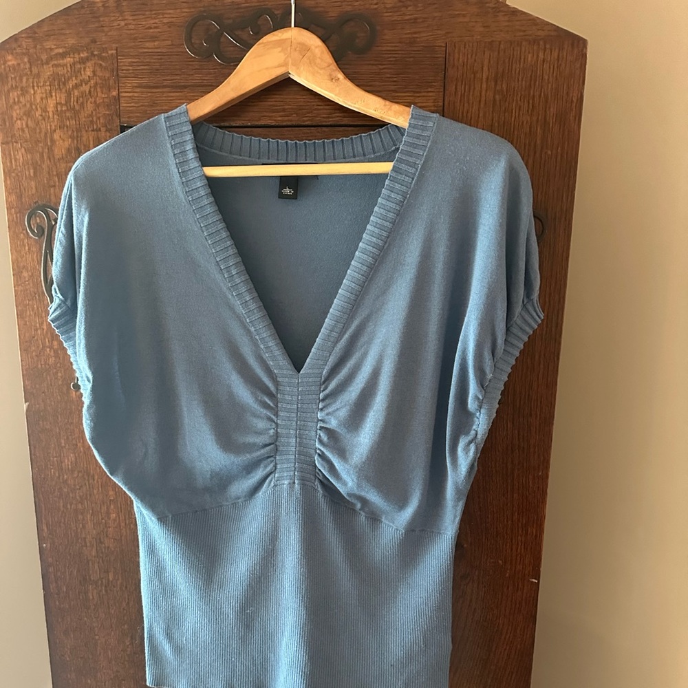 Banana Republic Silk and Rayon V-Neck Short Sleeve Knit Top - Blue Size L